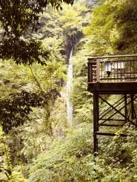 🌿 Solo Adventure: Shasui Falls – Tokyo’s Secret Waterfall Escape