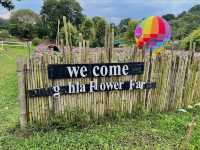 Songkhla Flower Farm