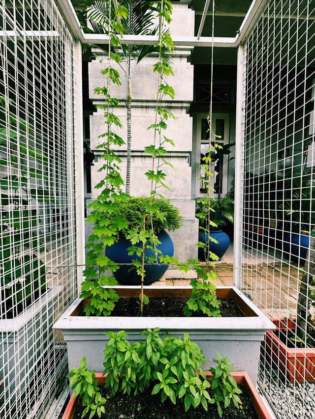 Green Escape in the City – Fullerton Farm & Outdoor Yard
