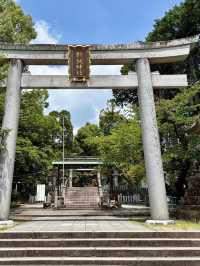 **Solo Traveler's Guide to Inuyama: A Journey Through Japan's Living History** 🏯🎎