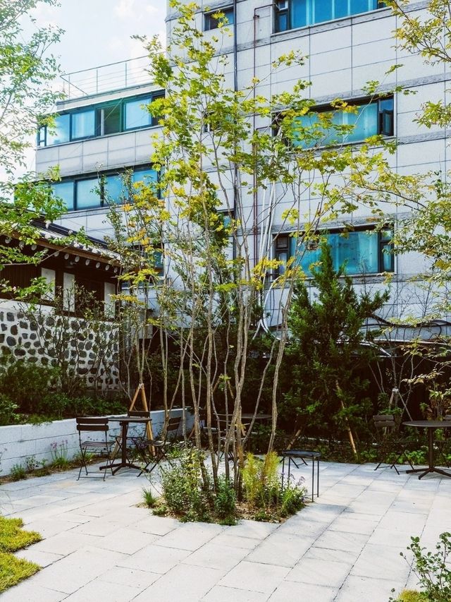 Bukchon Hanok Cafe