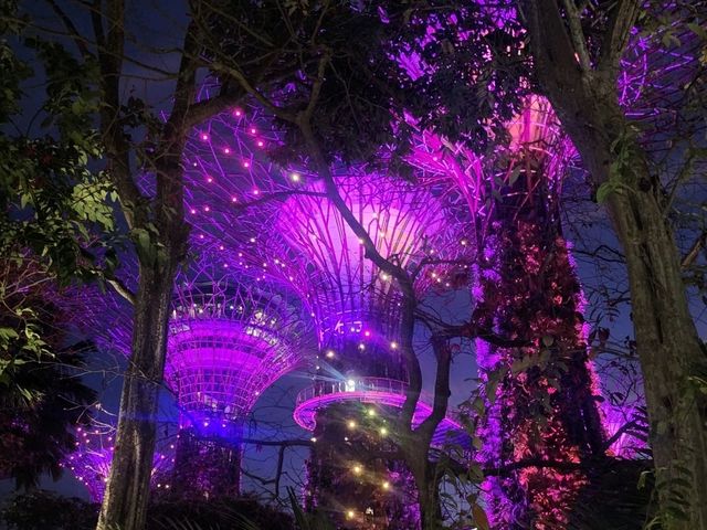 当日フライト予約でシンガポールひとり旅