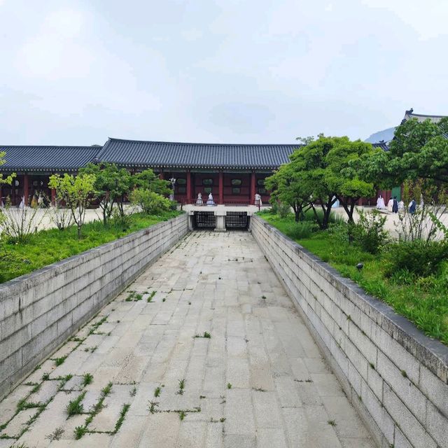 Gwanghwamun Gate & Changing of the Guard Ceremony