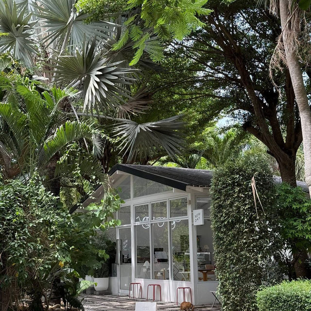 🌿 New Day Cafe Bakery Space