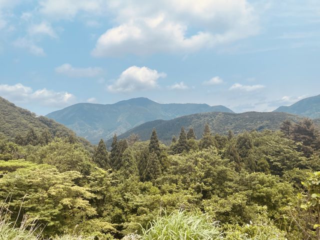 ⛩️ 絕景寺廟大挑戰！三德山三佛寺⚠️ 還有谷川天狗堂豆腐咖啡！