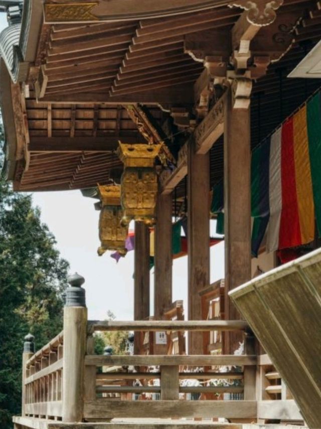 4個京都⛩️🇯🇵小眾寺廟漫遊路線 🌿