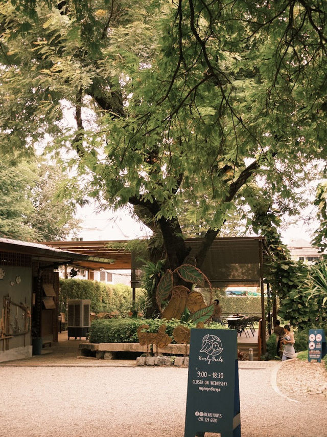 ☀️ Early Owls Café