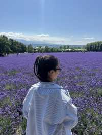 【夏の北海道】ラベンダー畑🪻の絶景スポット