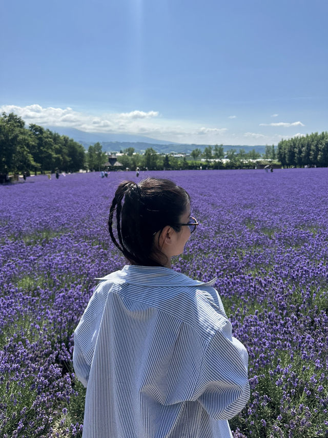 【夏の北海道】ラベンダー畑🪻の絶景スポット