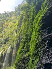 Air Terjun Madakaripura, Probolinggo (East Java)