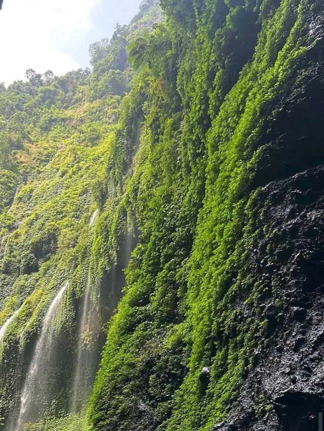 Air Terjun Madakaripura, Probolinggo (East Java)