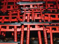 【伏見稲荷大社】千本鳥居の幻想世界へ⛩️願いを込めて歩く、朱のトンネル