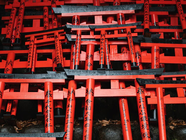 【伏見稲荷大社】千本鳥居の幻想世界へ⛩️願いを込めて歩く、朱のトンネル