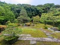 金澤 | 中村紀念美術館，展示日本茶道與工藝之美