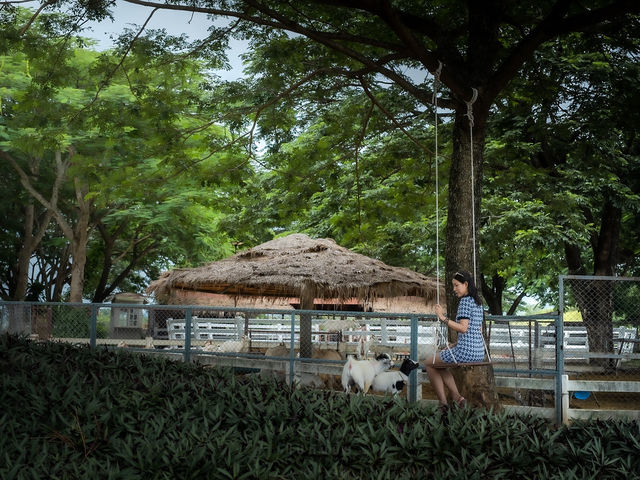 ความน่ารักของเขาใหญ่ในวันนี้ Mini Zoo 