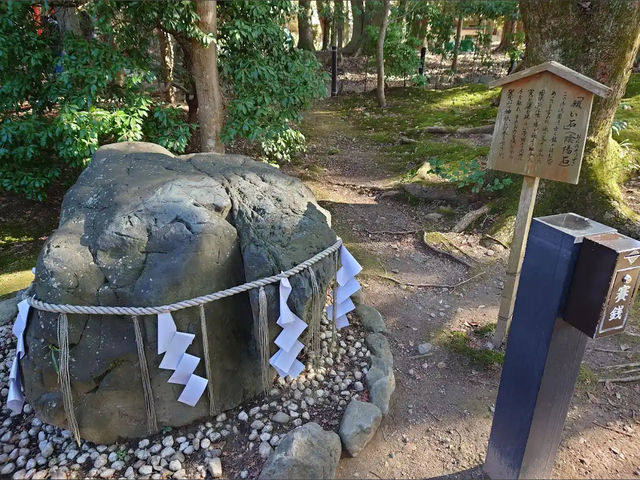 【上賀茂神社】京都最古の神社で心清める⛩️神聖な空気に包まれる癒しの旅