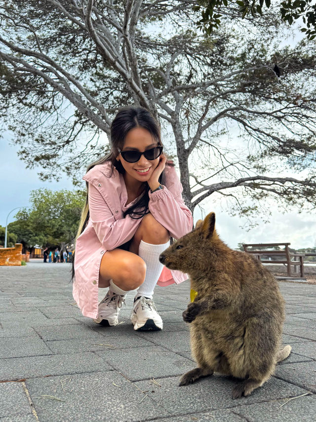 Rottnest Island: Smile with a Quokka!
