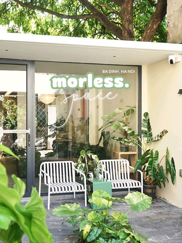 MORLESS. SPACE
