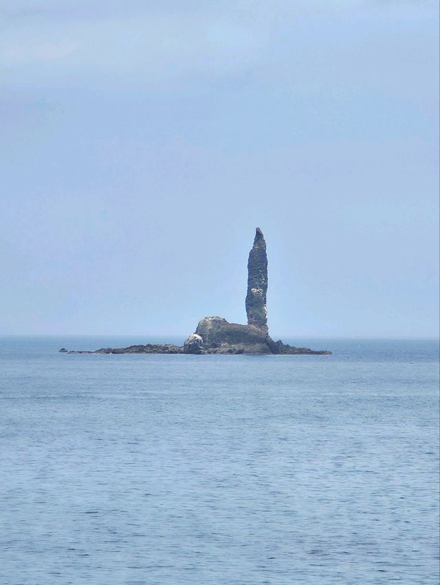 카무이 마사키 카무이 마사키