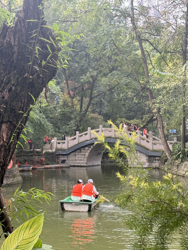 People’s park at Chengdu 🎡