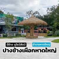 ปางช้างเผือกหาดใหญ่