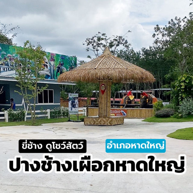 ปางช้างเผือกหาดใหญ่