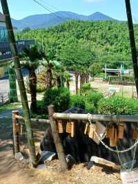 대나무 숲에서 즐기는 힐링 스팟 🌿