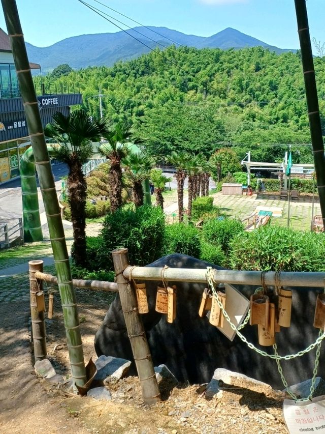대나무 숲에서 즐기는 힐링 스팟 🌿