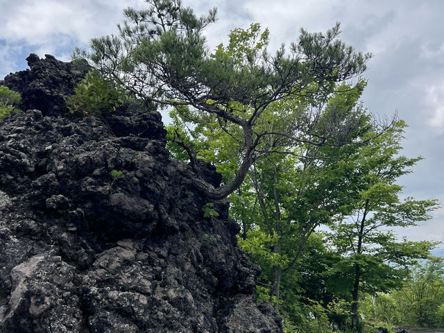 【群馬】鬼押出し園