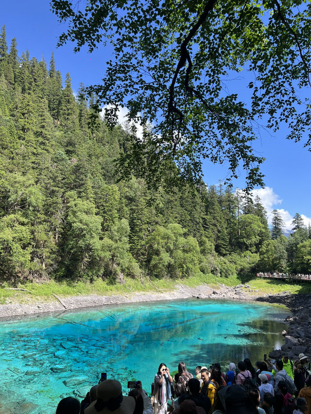 Jiuzhaigou — Stunning views, but we gave up halfway 😂