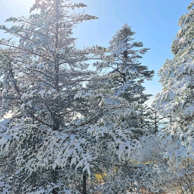 Xiling Snow Mountain (Sichuan)