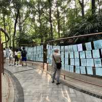 🎋 Chengdu People’s Park 成都人民公园 | A Window into Local Life