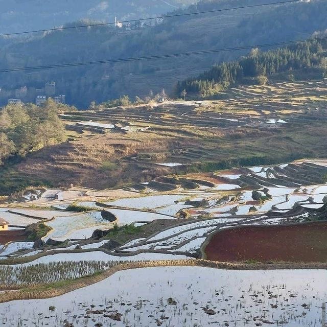 Yuanyang Hani Rice Terraces (Yunnan)