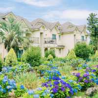 Observing Traditional Architecture and Symbolism Enhanced by Nature's Palette