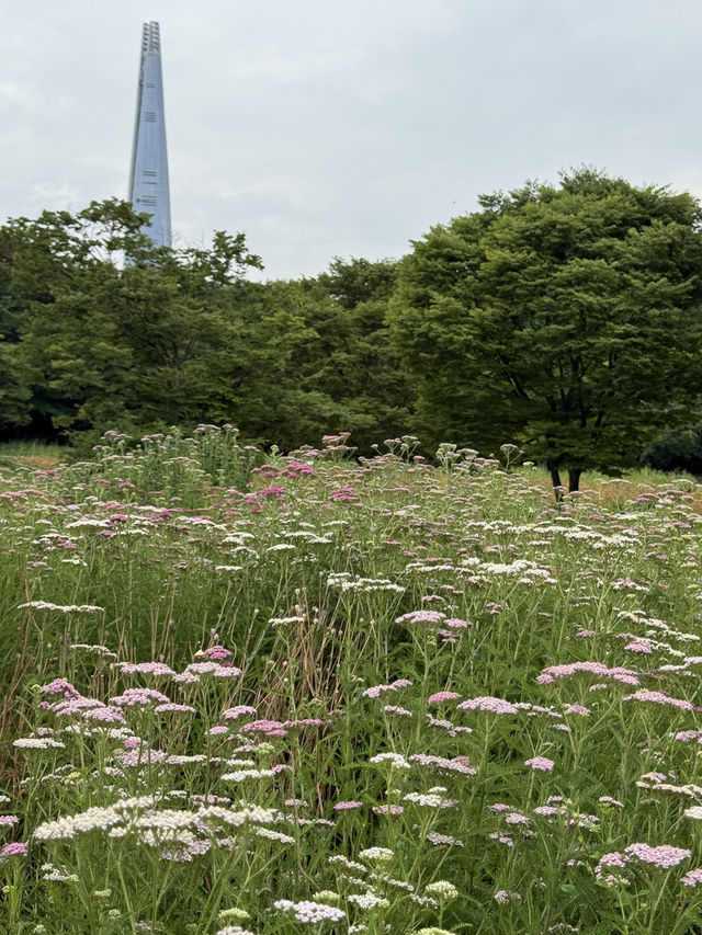 동화 속 정원에 들어온듯 아름다운 서울 명소, 올림픽공원 산책로