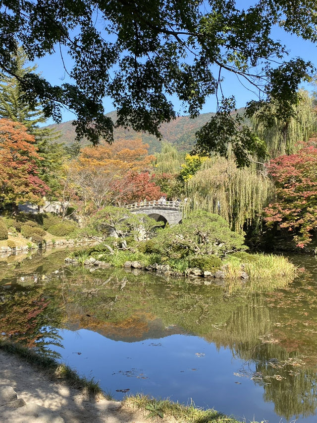 🏯 천년의 숨결을 따라 걷다, 경주 불국사 