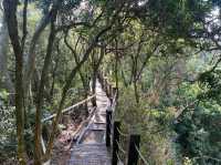 Exploring Juxing Mountain