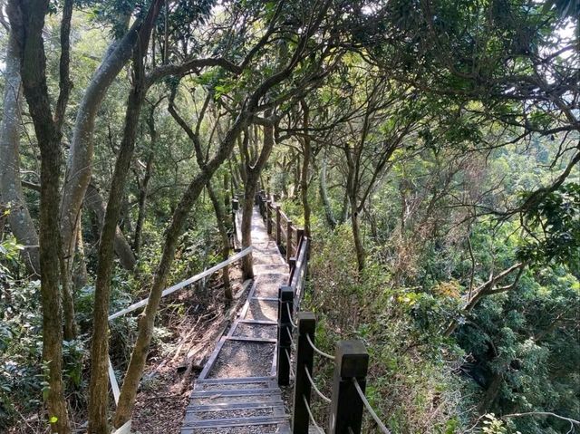Exploring Juxing Mountain
