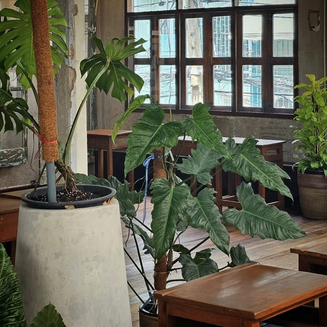 昔ながらの温かみある雰囲気と本格スイーツが楽しめるカフェ🇹🇭