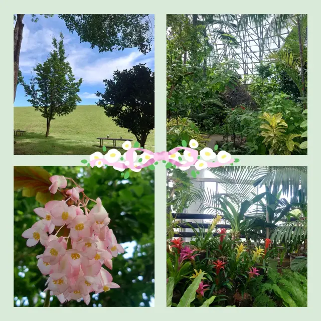 東南植物楽園の緑の宝庫。