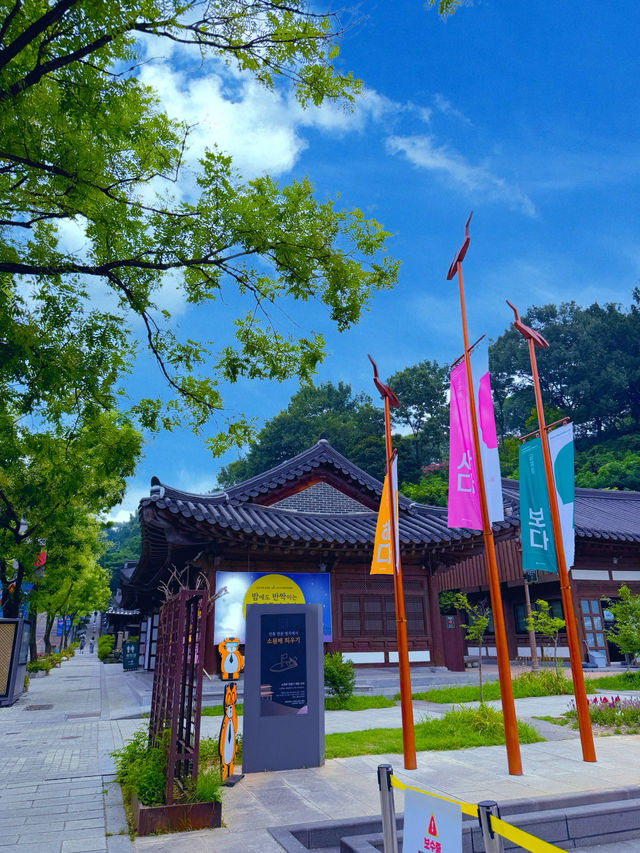 한국 여름 여행 일정 추천드립니다 🩵💙