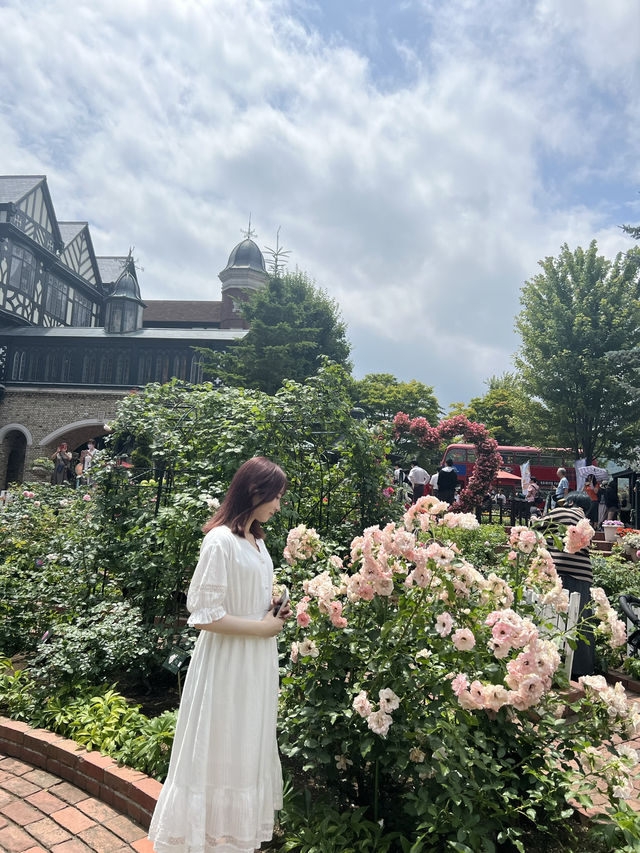  “ここ行きたい！”が詰まった、北海道おすすめ旅ガイド🧳📍