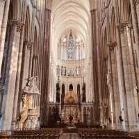 🏰🌊 Solo Stroll Through Floating Gardens & Gothic Grandeur: Amiens – Picardy’s Hidden Gem 