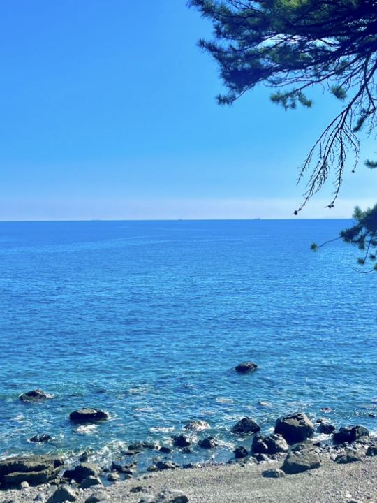 [부산 해운대] 클럽디오아시스 & 해운대 해변 산책 코스