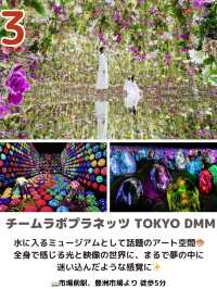 【東京】注目の新スポット4選📸✨次はどこに行く⁉️