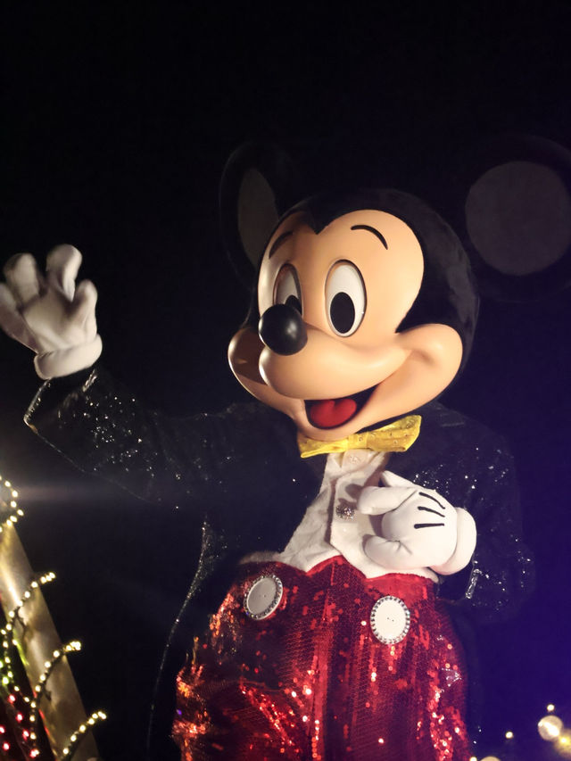 ディズニーランドで見れる夜の光のパレード！
