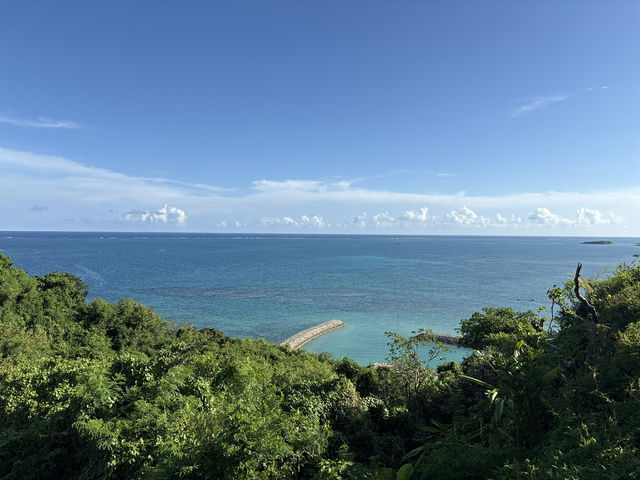 🌊 沖繩秘境知念岬公園：海天一色的療癒之旅！🌿✨