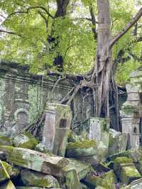 A journey into Cambodia’s ancient history and culture👫😎👍😍
