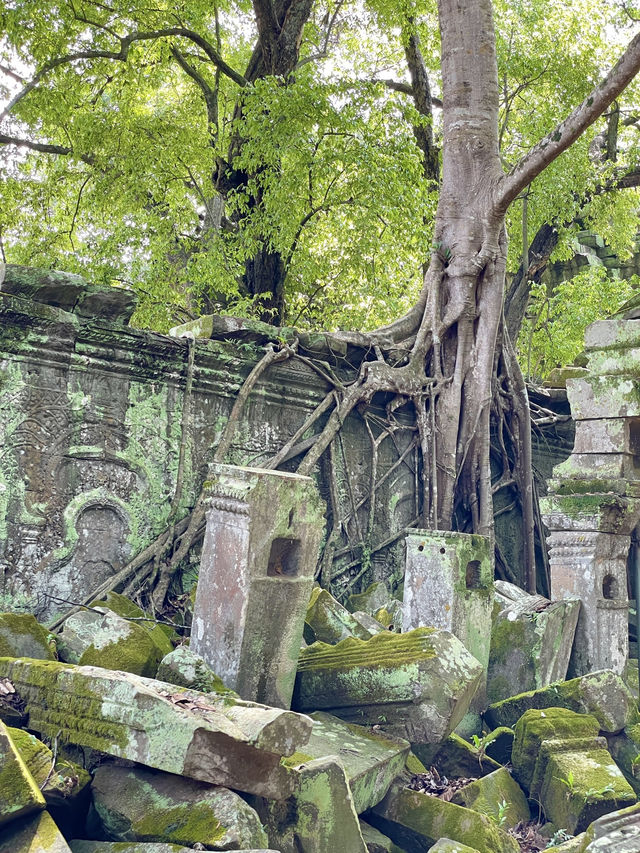 A journey into Cambodia’s ancient history and culture👫😎👍😍