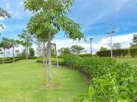 Butterfly Explorer Garden – A Dance of Wings